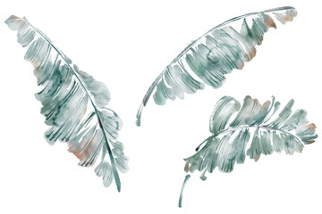 Watercolor banana leaves for invitation and greeting card