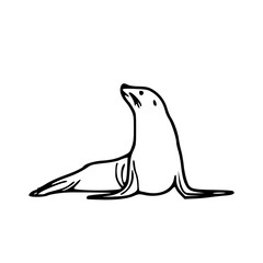 simple seal outline vector illustration