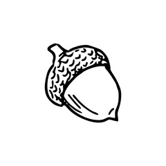 simple acorn drawing
