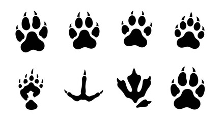 Collection of animal footprints including mammal and avian tracks in a graphic illustration style