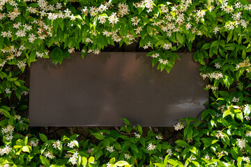 A blank signboard is nestled amidst vibrant green leaves and delicate white flowers, creating a serene and inviting garden atmosphere.