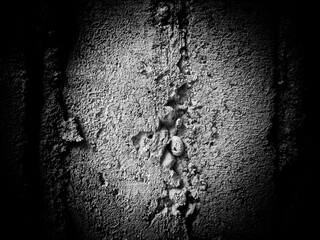 Abstract scratch grunge concrete wall texture. Use as a background or wallpaper. Black and white, so contrast and grainy
