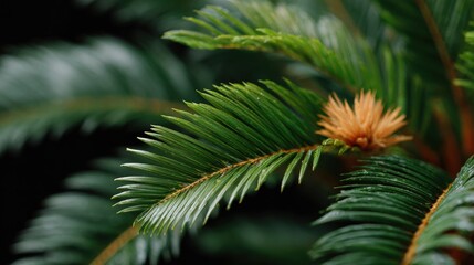 Close-up of vibrant green palm leaves with a single brown flower, showcasing the intricate details and textures of the foliage.
