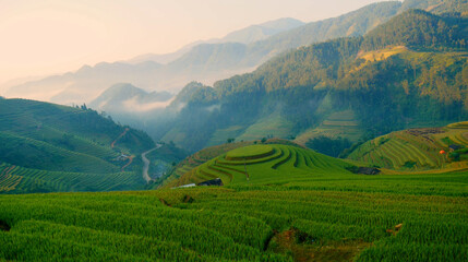 Rice terrace Field Green agriculture rainny season dark cloud amazing landscape. Sustainable...