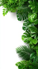 Lush Green Leaves Border for Nature-Themed Design and Backgrounds
