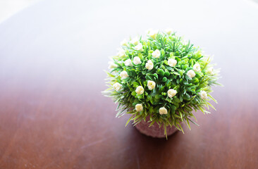 Small green potted plant with copy space