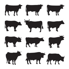beef steer silhouette set, Black & White silhouette set 