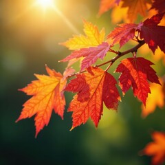 Golden and crimson oak leaves clustered on branch, sunlight filtering through, light, fall colors, golden