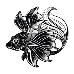 Black and White Betta Fish