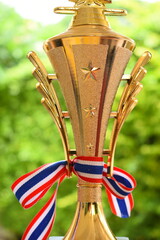 beautiful golden trophy with thailand ribbon on green tree background