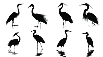 Black Heron Collection Silhouette Vector Graphic