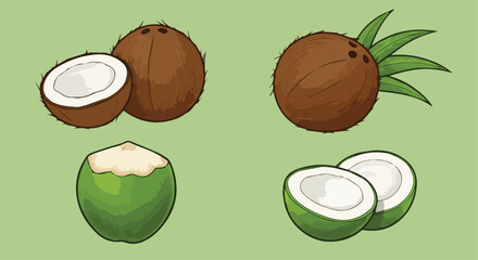  Various Coconuts - Whole, Halved, and Young Green Coconuts