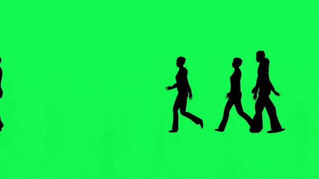 Silhouettes of people walking and crossing paths on a green screen, HD footage.
