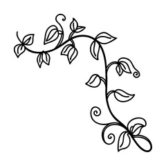 Black Vine with Leaves and Swirls on White Background