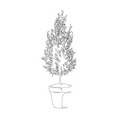 オリーブの鉢植えの線画イラスト_1