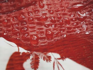  Close -up of water pooled in the groove leaf