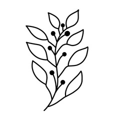 branch leaf line vector