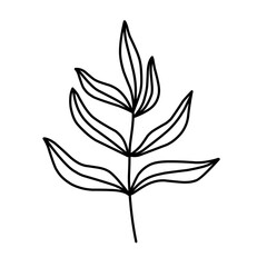 branch leaf line vector