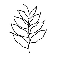 branch leaf line vector