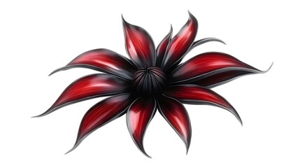 Fototapeta premium Dramatic Red and Black Flower Blossom Closeup