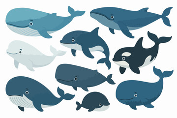 Vector Set Cartoon whales. Blue whale  humpback beluga killer bowhead orca cachalot underwater aquatic animal big fish sea ocean mammals marine under water giant swanky vector illustration