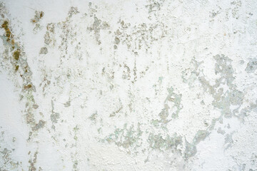 A weathered white wall marred by dark patches of mold, mildew, and green moss. This grunge texture portrays dampness and decay, perfect for urban, natural, or abstract background themes