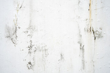 A weathered white wall marred by dark patches of mold, mildew, and green moss. This grunge texture...