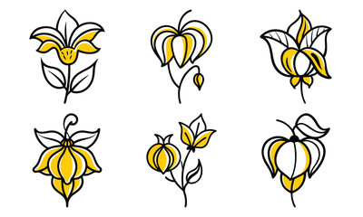 Bundle Allium Flower Spherical Bloom Flat Violet Fill Allium Flower Sphe 1 (9)