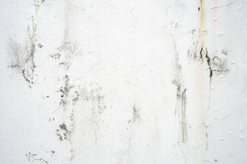 A weathered white wall marred by dark patches of mold, mildew, and green moss. This grunge texture...