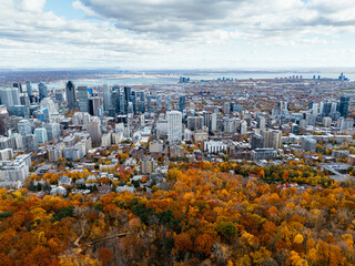 Drone flight above the autumn park with downtown skyscrapers in the background. Mont-Royal park,...