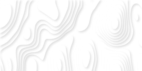 Abstract Luxury diamond creative topography map background vector natural shadow papercut web topography map spiral line. white light dynamic smooth cover origami papercut texture background.	
