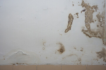 Severe water damage on a light-colored wall, featuring extensive brown stains and peeling paint....
