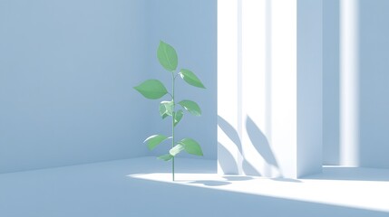 Minimalist Plant in Light Blue Room Scene, Sunlight