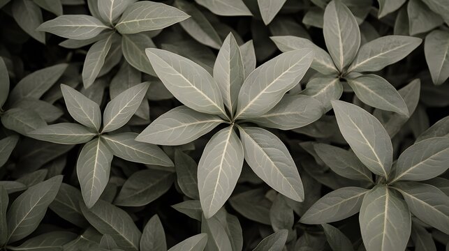 Elegant Greyscale Leaf Pattern Botanical Background