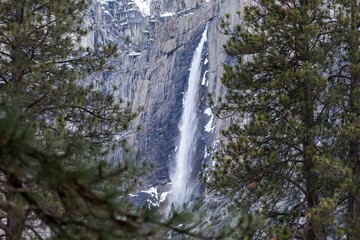 Bridalveil Fall cascades down a granite cliff face in Yosemite National Park, USA. The waterfall is framed by pine trees, showcasing the natural beauty of the park.