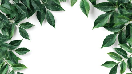 Vibrant Green Leaf Border: A captivating photo of lush green leaves gracefully encircling an empty space. Ideal for nature-themed or botanical-inspired creative projects.