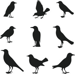Collection of bird silhouettes in various poses on a white background