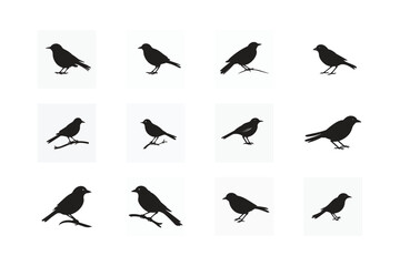 Set of flying bird silhouettes vector illustration on white background