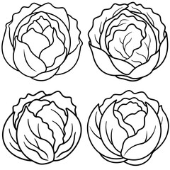 Obraz premium Cabbage Coloring Page