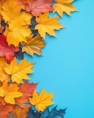 Vibrant autumn leaves arranged against a vibrant blue background