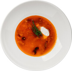 Delicious bowl of borscht with sour cream and fresh dill, ready to eat.
