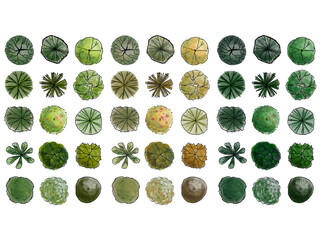 tree top watercolor hand drawn view isolated on white background for landscape plan and architecture layout drawing, elements for environment and garden © feipco