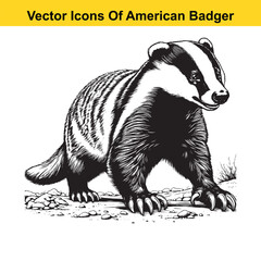 American Badger Black and White Cartoon – Bold Line Art Vector for Tracing or Coloring