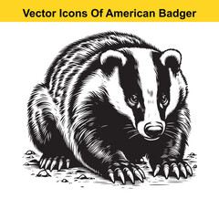 American Badger Black and White Cartoon – Bold Line Art Vector for Tracing or Coloring