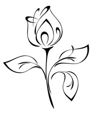 decorative stylized flower on a stem with leaves; graphic design