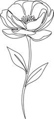 Elegant Line Art Detailed Flower with Stem and Leaves Illustration