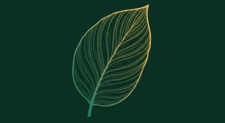 Obraz premium Photo of a simple line art illustration of a single leaf, with a gradient of gold and green hues against a dark background