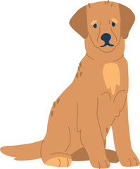 Golden retriever puppy vector illustration