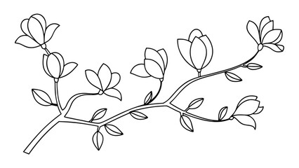 Magnolia flower, magnolia tree branch line art