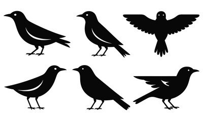 set of birds